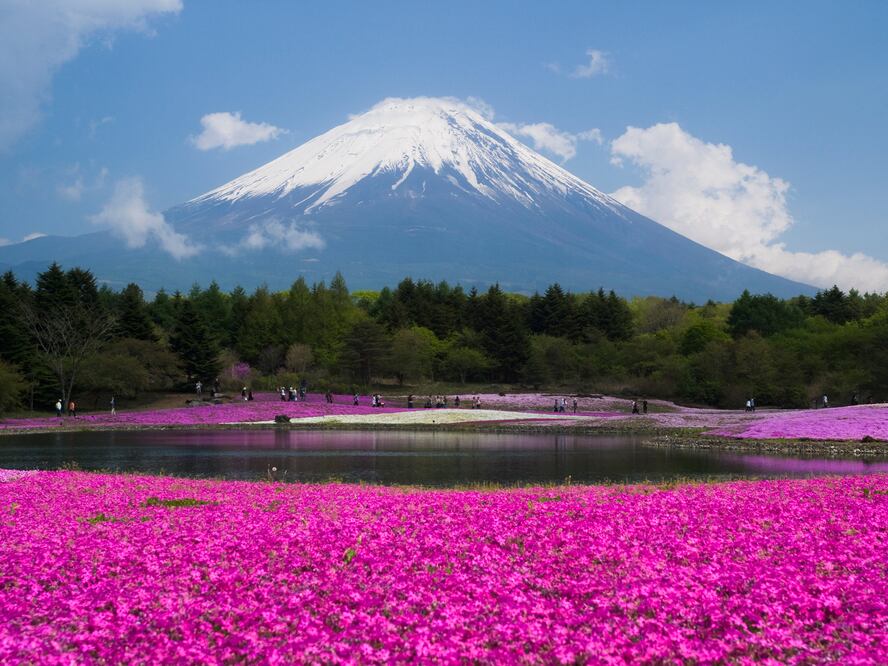 En Japón ocurren algunos de los sismos más fuertes en el planeta. (Foto: Archivo)