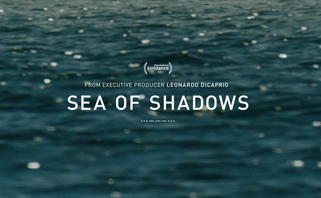 Organizations such as Sea Sheperd and Elephant Action League also participated in the documentary - Photo: Taken from Sea of Shadows' official Facebook page
