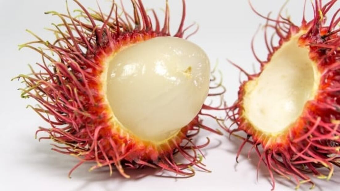 Cuáles son las diferencias entre el lichi y el rambután