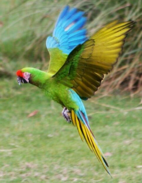 Por estas 7 razones, la Sierra Gorda de Querétaro es impresionante