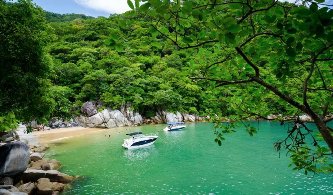 Para llegar a Colomitos hay que cruzar dos kilómetros de selva virgen. (Foto: Cortesía)