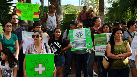 Marchan en Mérida a favor del cultivo de la marihuana