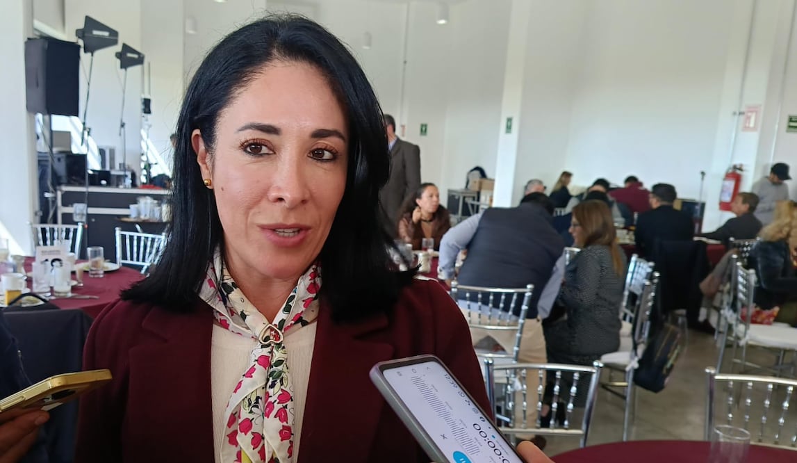 DIF Edomex recibe 30 solicitudes de adopción; mayoría busca adoptar niñas. Foto: Gisela González