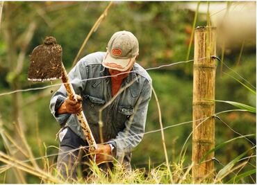 Advierten que por falta de apoyos aumentará importación de maíz y trigo en México