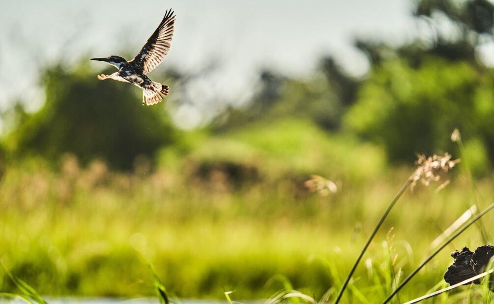 Imagen: Alberto Alcocer