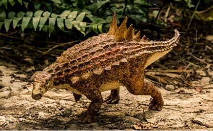 Ancient dinosaur fossil found in Coahuila