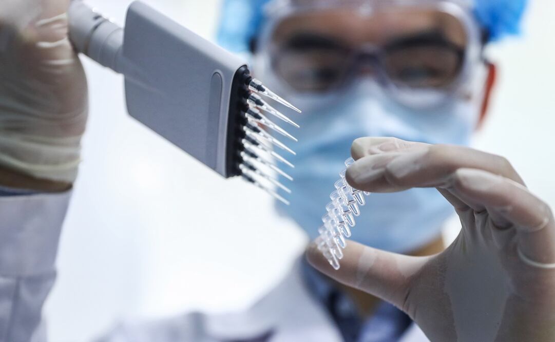 Foto: Archivo. Xinhua