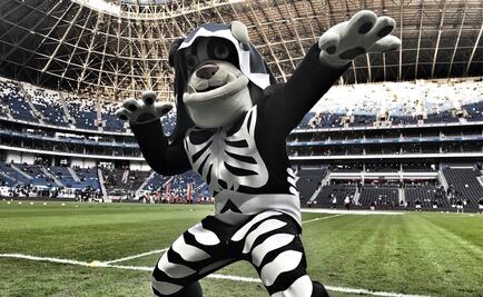 Mascota de Rayados fue robada 