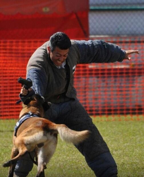 Ponciano, el creador de perros policía