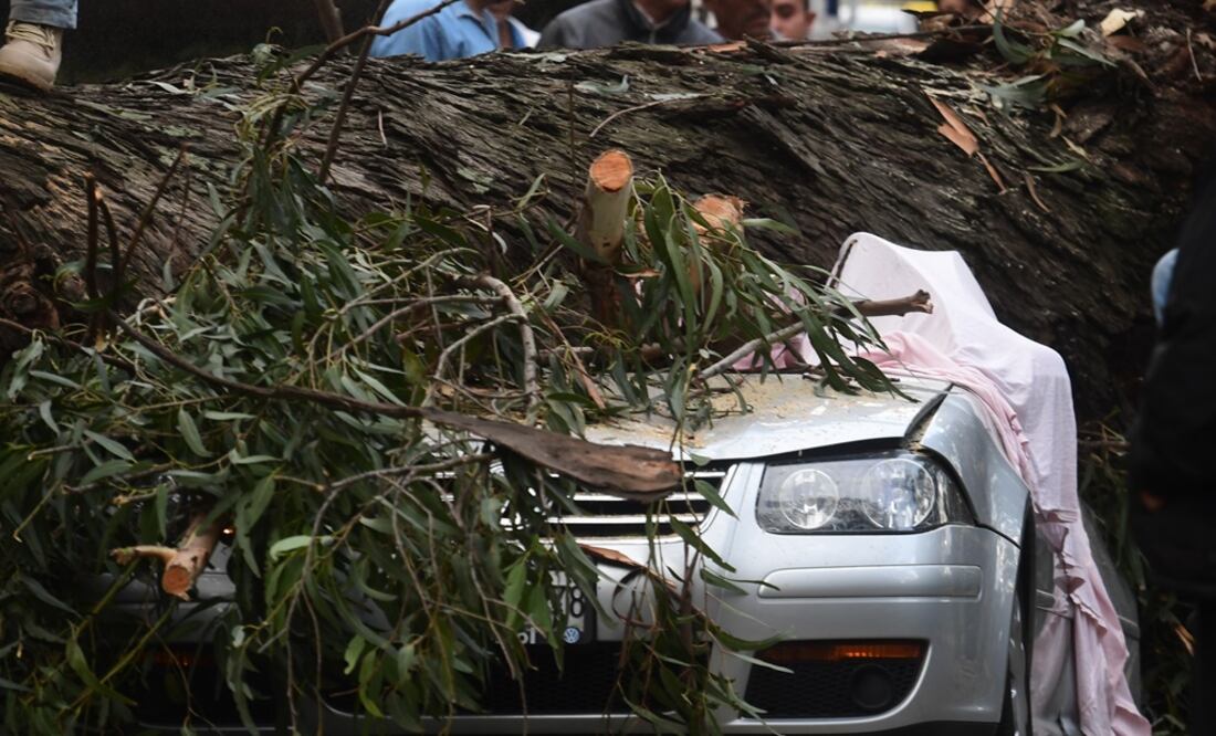 Fotografía: El Gráfico