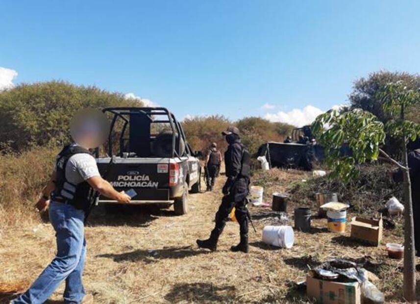 Destruyen campamento del crimen organizado en Zitácuaro; aseguran cría de león
