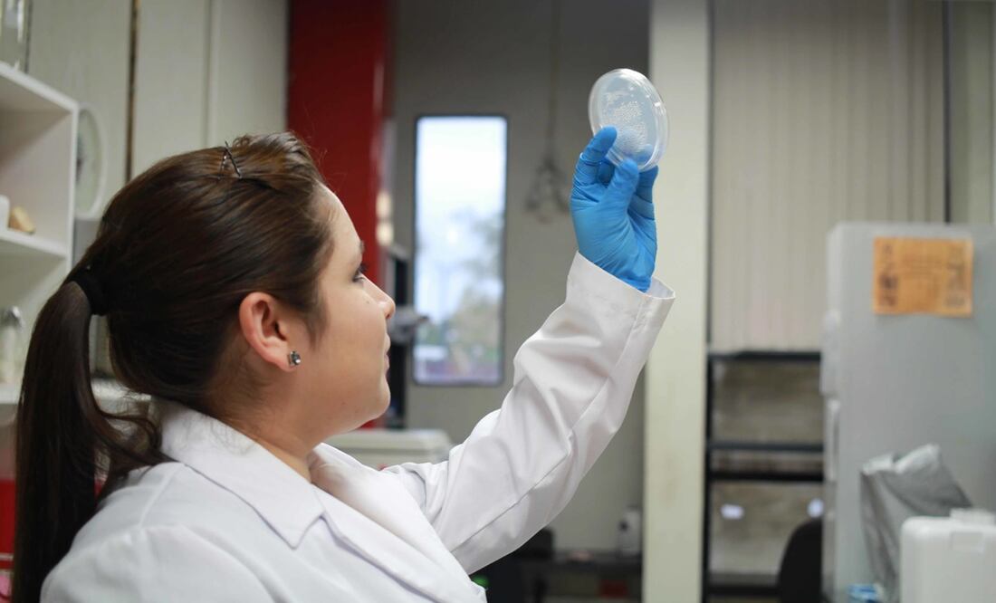 Científica del Centro de Biotecnología Genómica (CBG) del IPN. Foto: Cuartoscuro, archivo