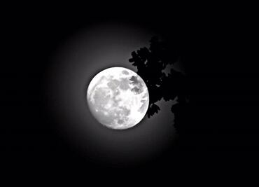Invita Universum a ver "superluna"