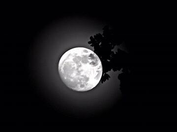 Invita Universum a ver "superluna"