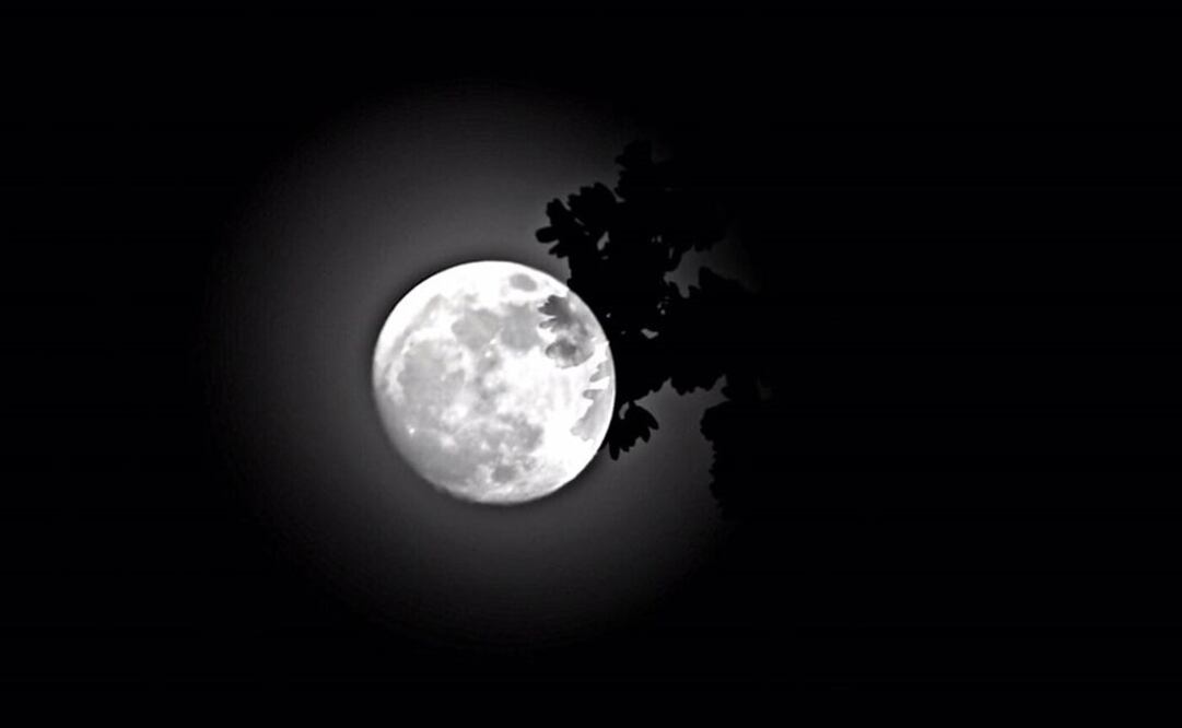 La luna llena ocurre cuando la línea que une a esta, al Sol y a la Tierra coincide con la distancia mínima de la Luna a nuestro planeta. (Foto: Berenice Fregoso/El Universal)