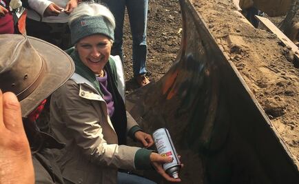 Candidata del partido verde en EU, acusada de vandalismo 