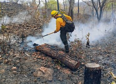 Chilpancingo y Acapulco, bajo humo por incendios forestales