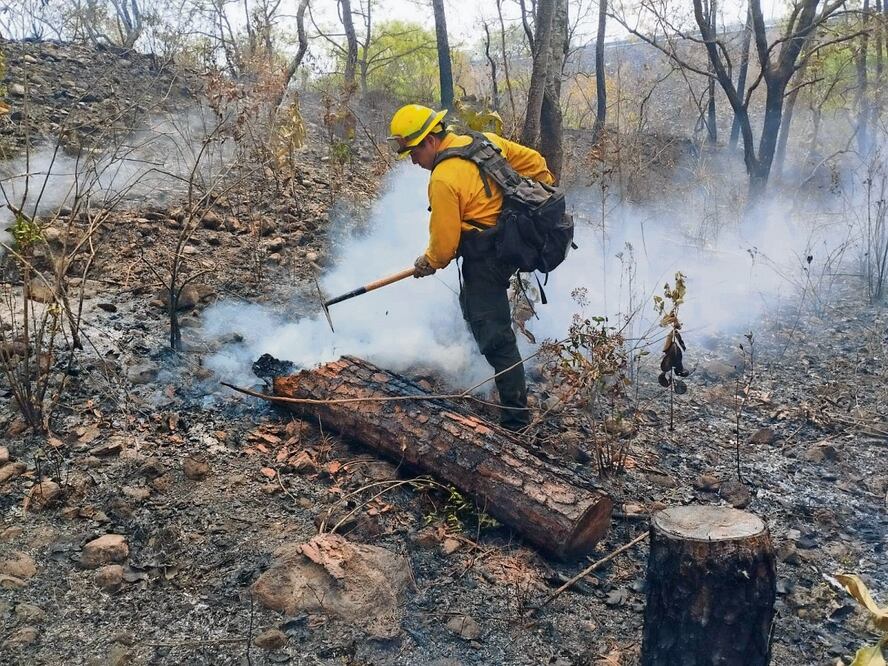 De acuerdo con el gobierno del estado, en lo que va de la temporada de estiaje en Guerrero se han contabilizado 174 incendios forestales. Foto Especial