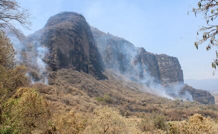 Fuego consume 154 hectáreas de corredor biológico Chichinautzin en Tlayacapan, Morelos