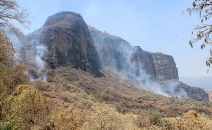 Fuego consume 154 hectáreas de corredor biológico Chichinautzin en Tlayacapan, Morelos