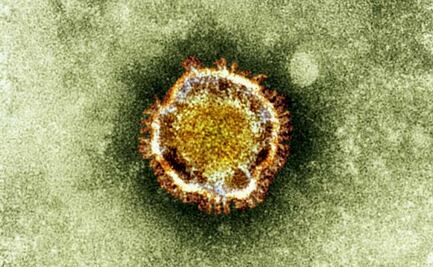 La OMS asegura que el origen del coronavirus es natural