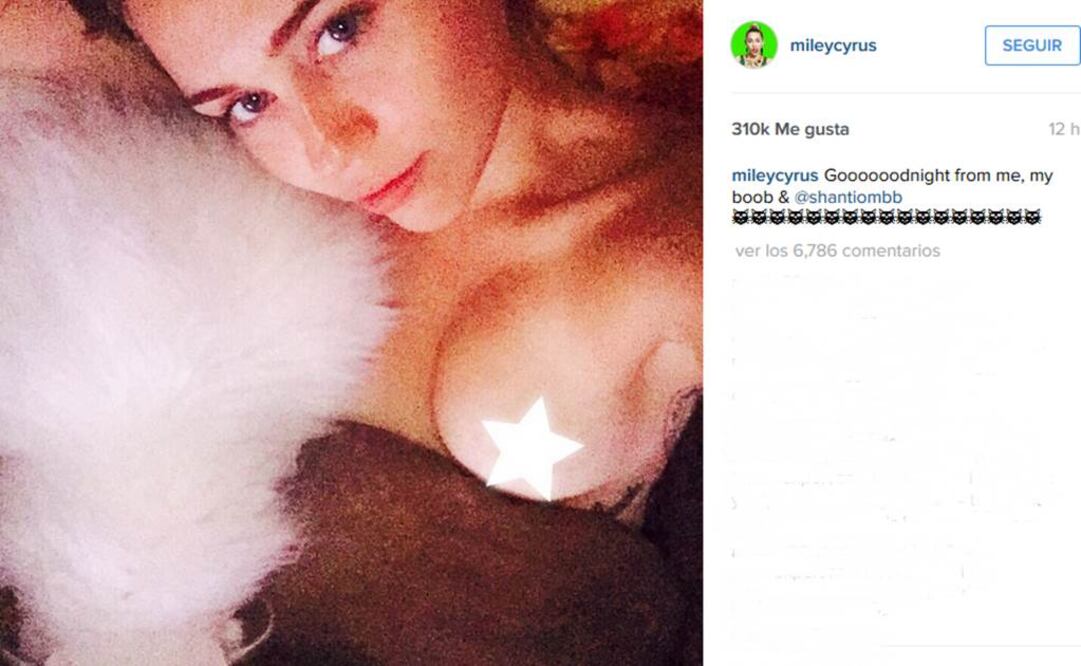 Posó junto a una de sus mascotas   Foto:Instagram de Miley Cyrus