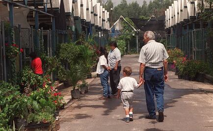 Jesús Orta promete aumentar policías en mercado de plantas de Cuemanco