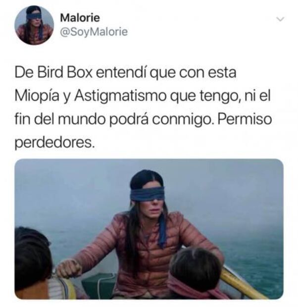 No más #BirdBoxChallenge pero los memes no paran