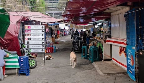 Ambulantes desconocen  si serán reubicados de la terminal de Observatorio