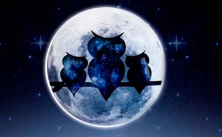 Venta Nocturna Sanborns 2024: Fechas, descuentos y todo lo que necesitas saber