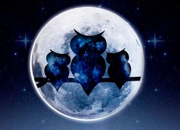 Venta Nocturna Sanborns 2024: Fechas, descuentos y todo lo que necesitas saber