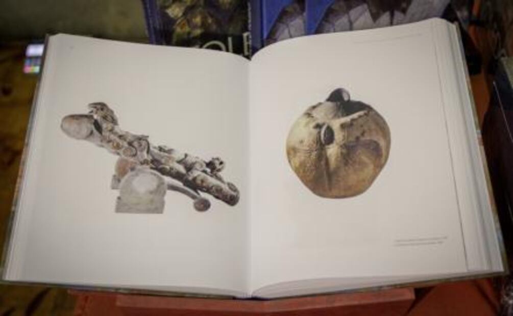 Reúnen 60 años de la obra de Francisco Toledo