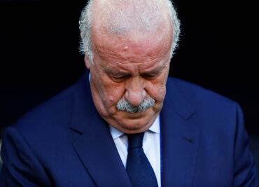 Del Bosque dice que no seguirá como DT de España