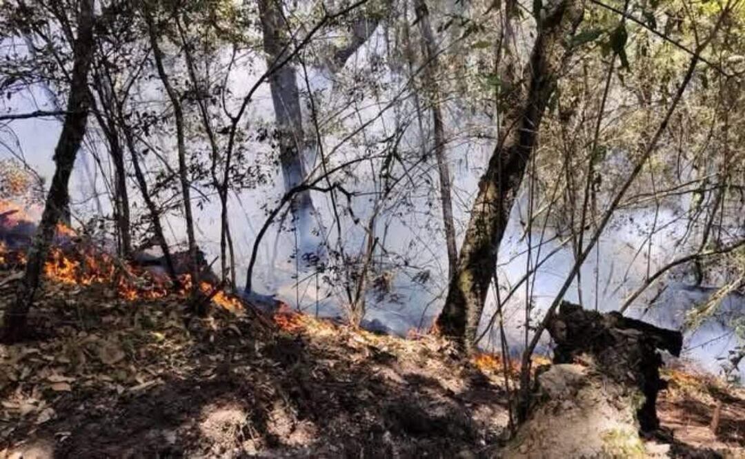 Los fuertes vientos y altas temperaturas en Hidalgo, han complicado las labores de control incendios forestales que siguen activos (05/04/2025). Foto: Especial