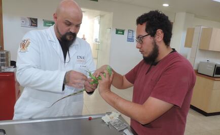 Hospital Veterinario de FES Cuautitlán atiende 6 mil animales al año