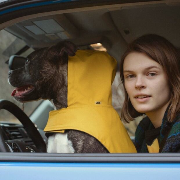 Lanzan la colección de ropa más fashion para perro