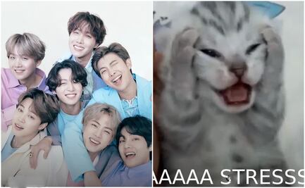 BTS en México: la euforia de las ARMY desatan la mejor ola de memes