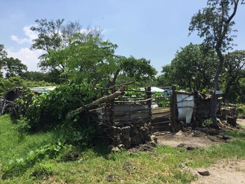 Asentamientos irregulares cubren 60 hectáreas en área natural protegida de Morelos