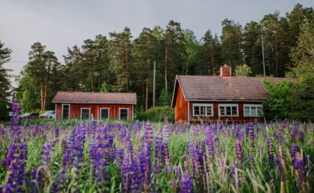 “Renta” a un finlandés y viaja gratis por el país más feliz del mundo