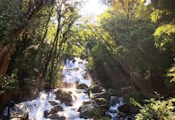¿Dónde ir el fin de semana? 5 actividades cerca de CDMX