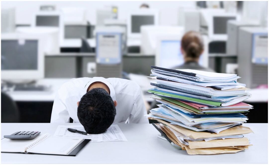 El programa, que empezará el próximo 30 de marzo se llevará a cabo de manera gradual