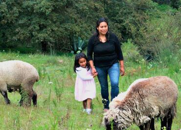 Avanza en San Lázaro reforma en igualdad de género de mujeres ganaderas