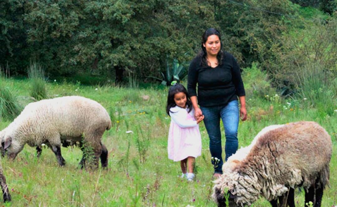 Solo 19% del total de personas que se dedican a la ganadería en el país, son mujeres. Foto: Gobierno de México