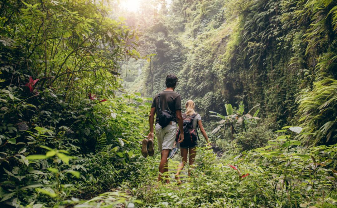 Tu compañero de viaje será un completo desconocido, que será elegido de la misma manera que tú. (Foto: iStock)