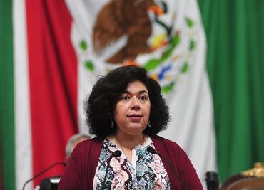 Proponen pedir certificado médico para acceder al programa Bebé Seguro