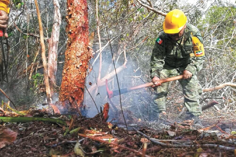 Los incendios forestales son los fenómenos que más han afectado al país este año, y en ellos la Sedena ha activado el Plan DN-III-E. Foto: ARCHIVO EL UNIVERSAL
