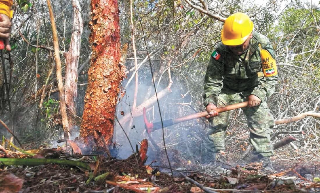 Los incendios forestales son los fenómenos que más han afectado al país este año, y en ellos la Sedena ha activado el Plan DN-III-E. Foto: ARCHIVO EL UNIVERSAL