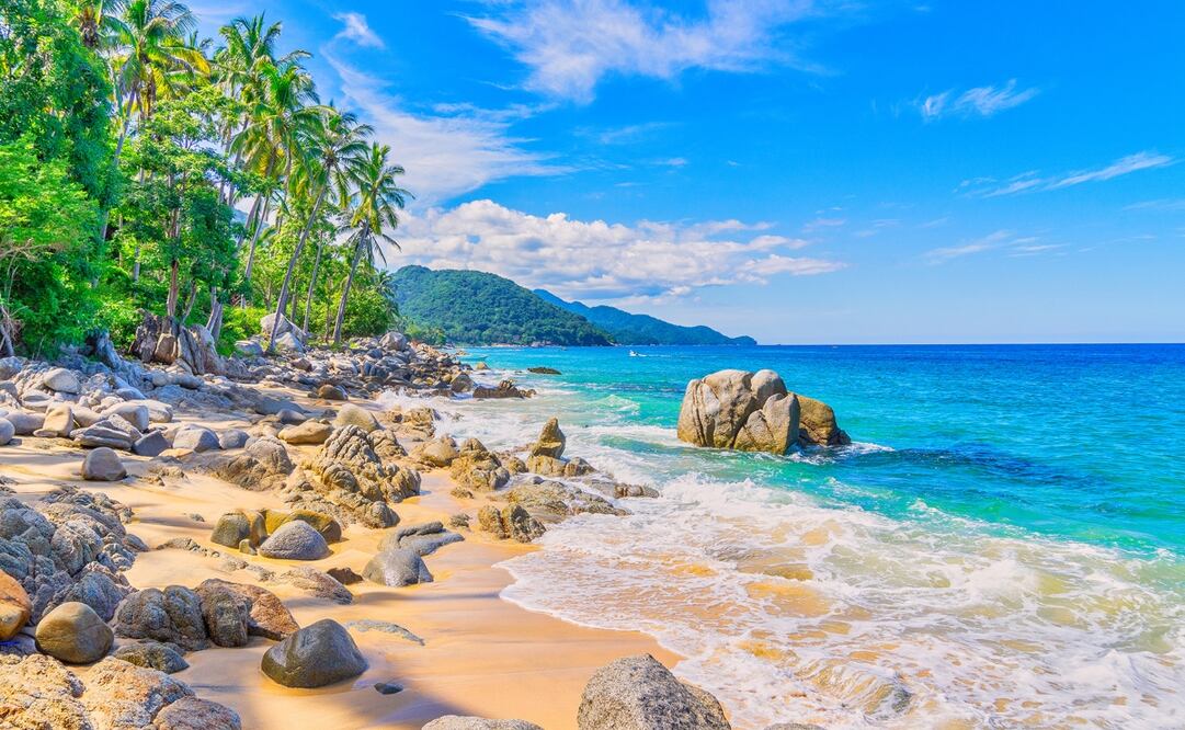 En Puerto Vallarta, habrá ofertas y descuentos hasta finalizar el año. Foto: Fideicomiso de Promoción de Puerto Vallarta