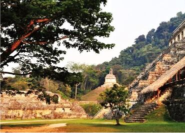 Mayas commence “Seed” year