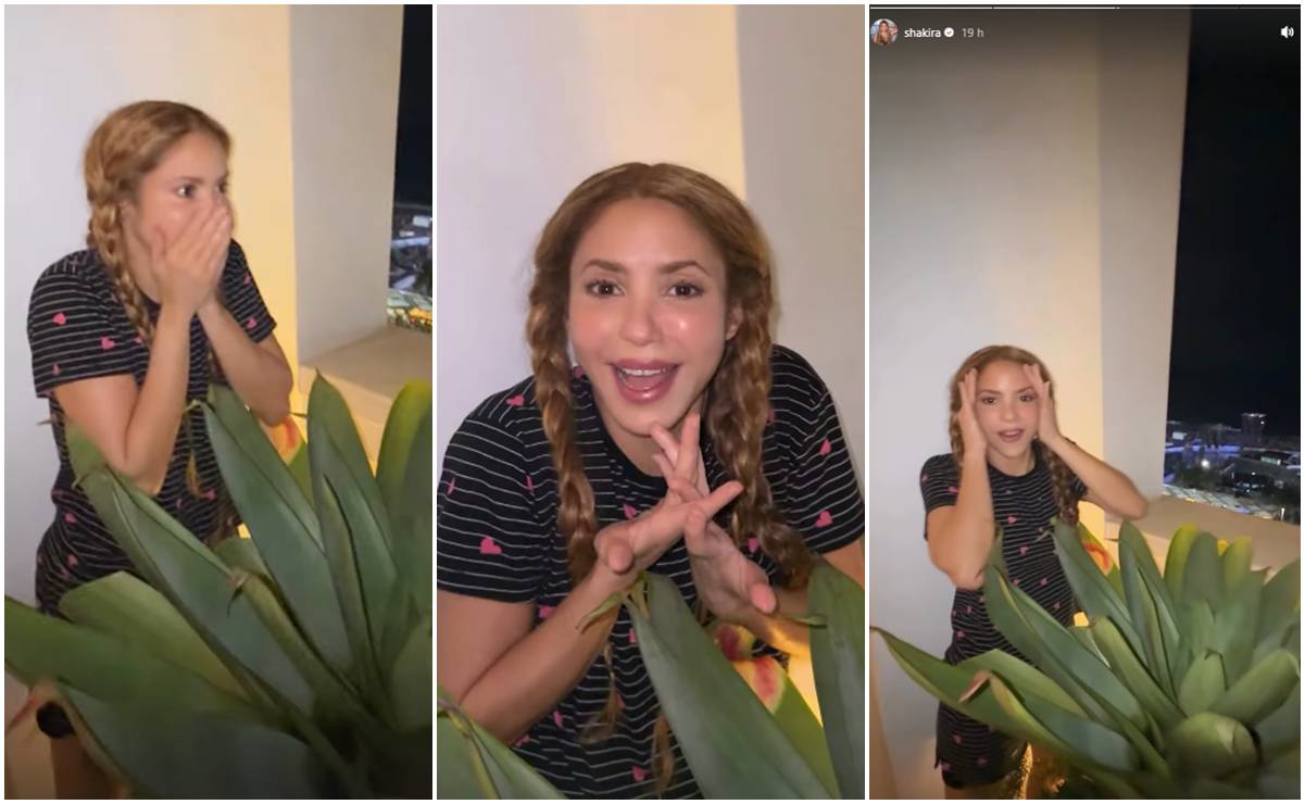Shakira quedó impactada

Así reaccionó la cantante al ver a cientos de fans en Copacabana antes de su concierto gratuito.
